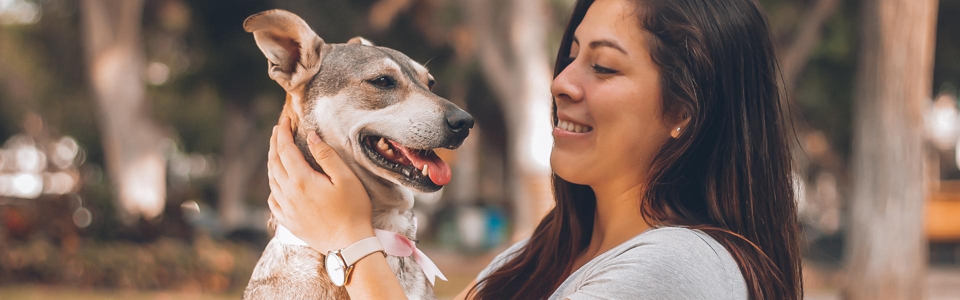 gray dog with brown haired woman