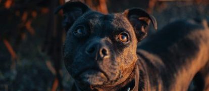 victor-g-wuxUeiFg2CI-unsplash