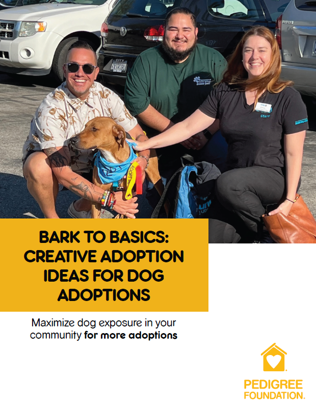 Bark to Basics toolkit cover.